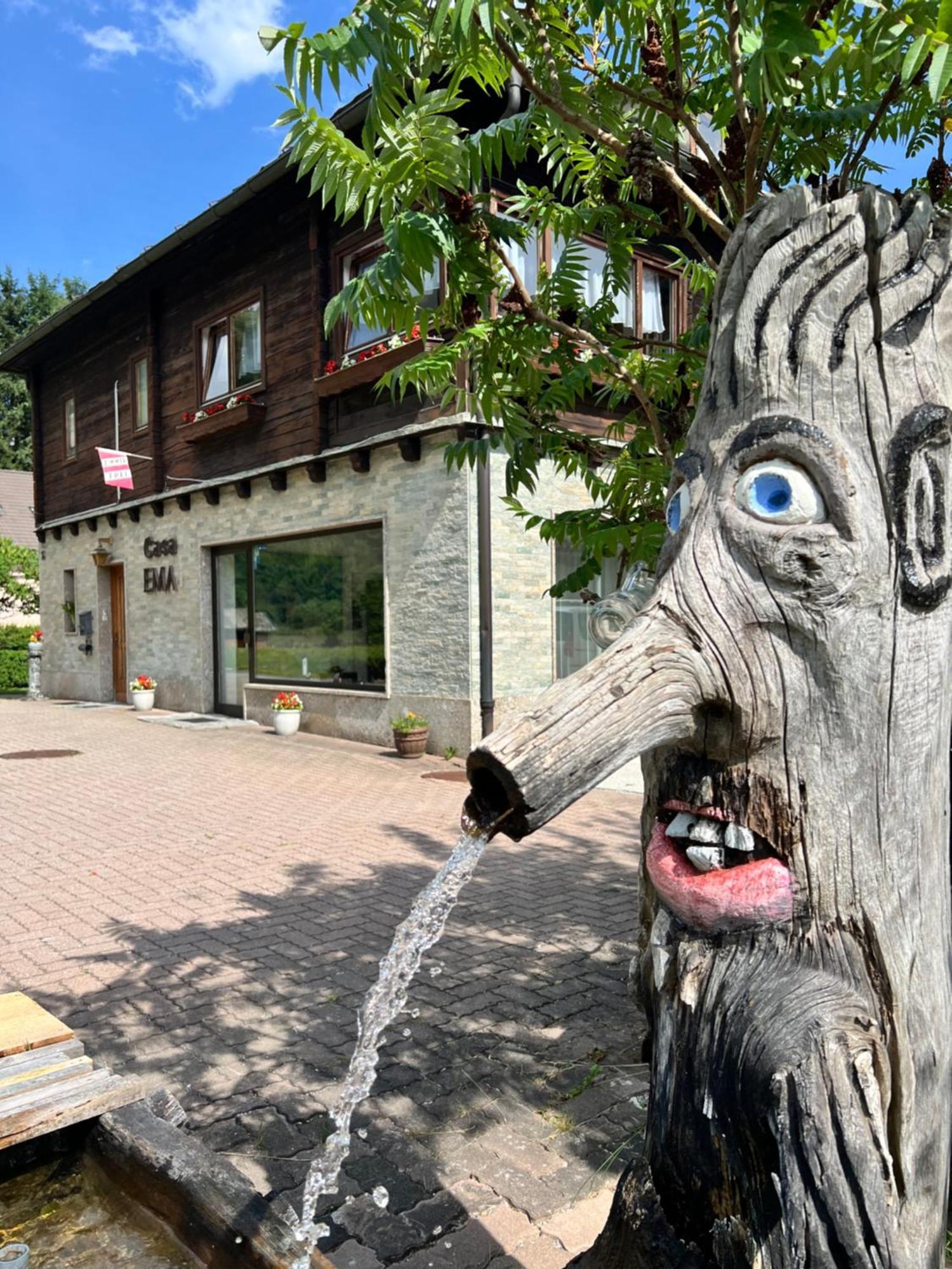 Bed and Breakfast Casa Ema Austria Ramingstein Екстер'єр фото